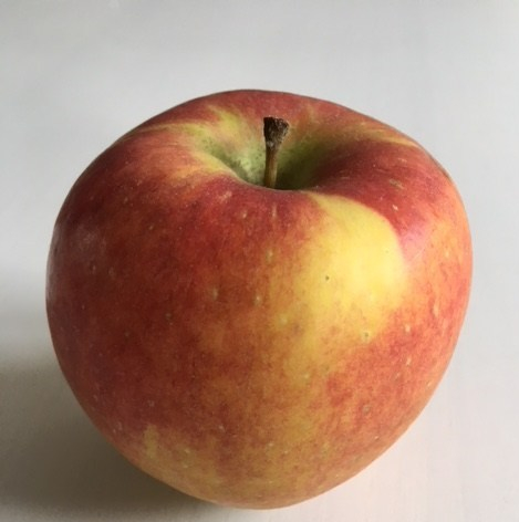 Teil 7. – Bericht Tag. 7&8 –&nbsp;Fasten