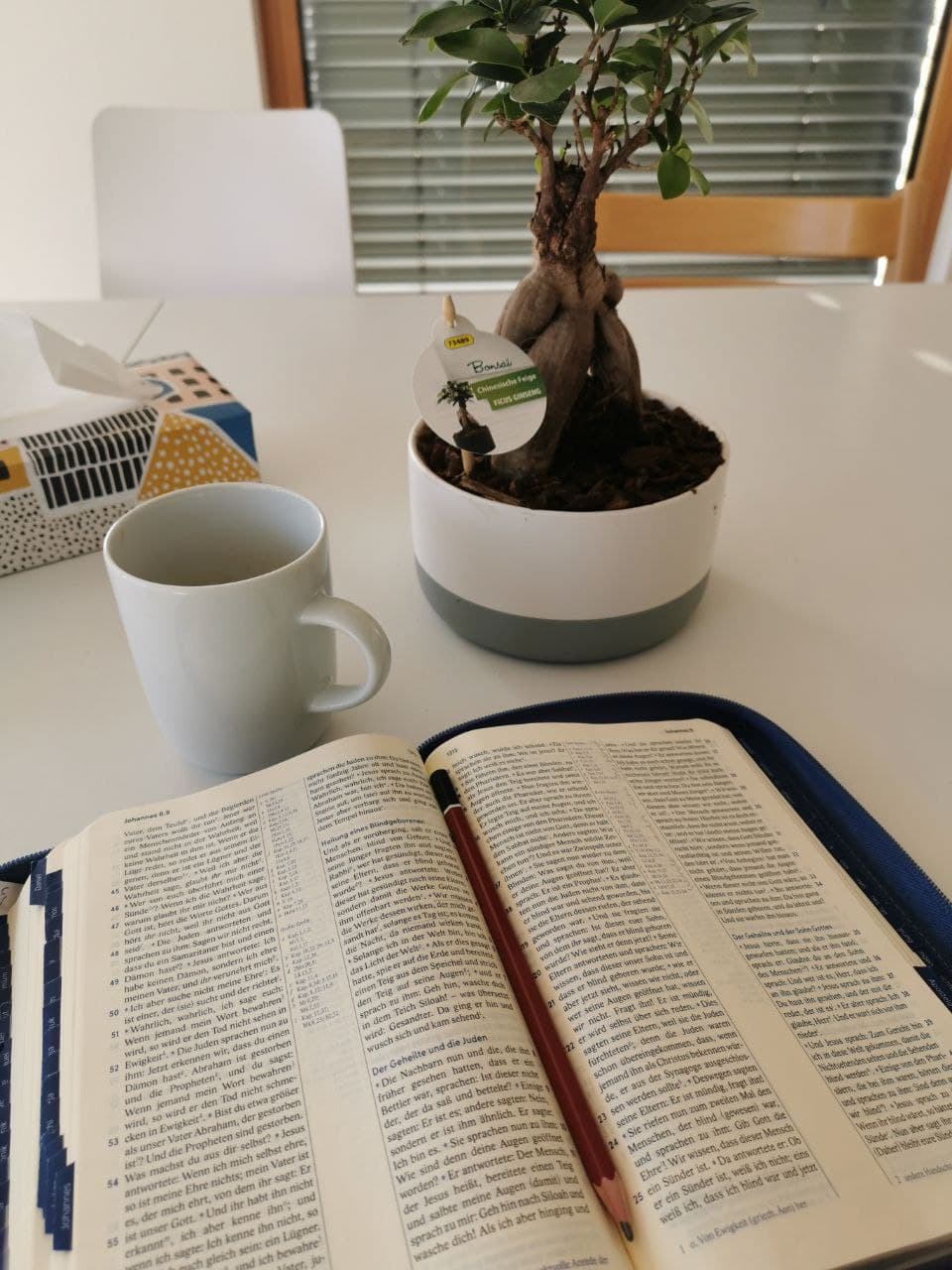 Herrsche über deine&nbsp;Zunge!