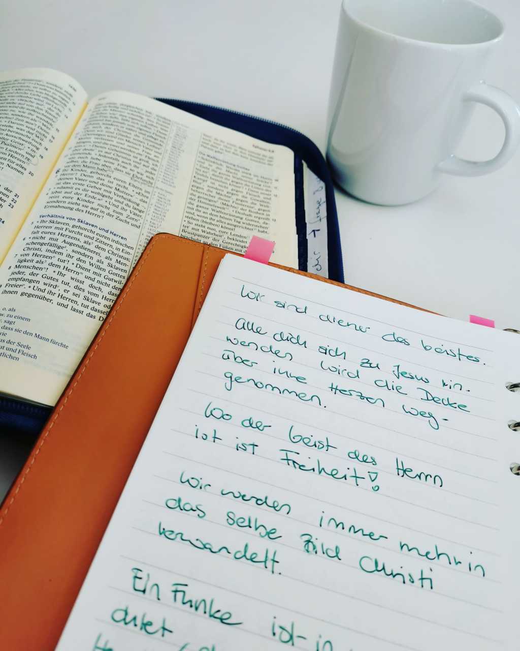 Das lebendige Wort&nbsp;Gottes